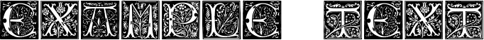 Image preview of font Initials TFB