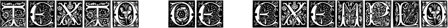 Image preview of font Initials TFB