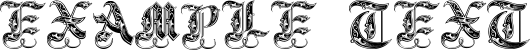 Image preview of font Royal Initialen